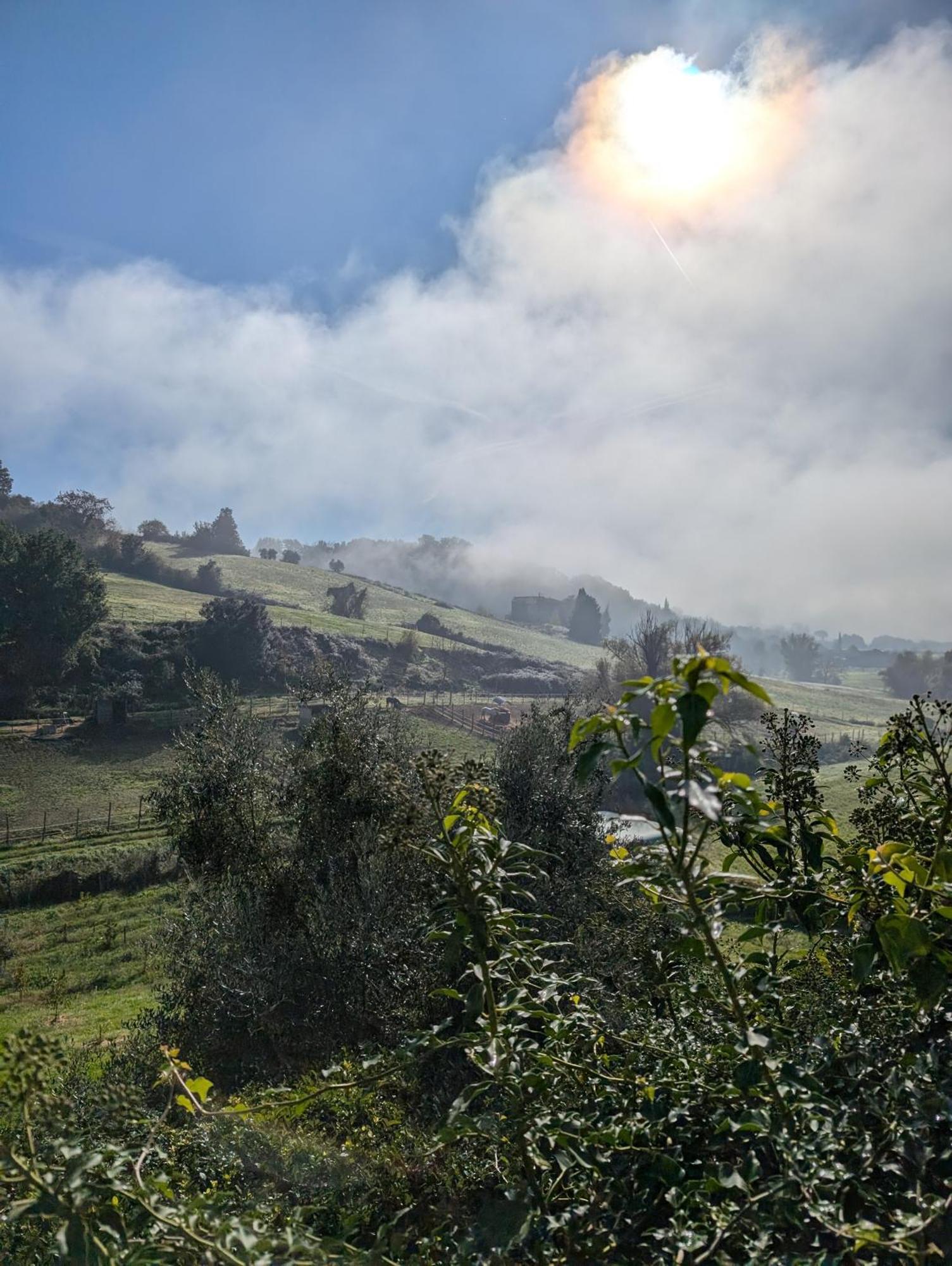 Villa Poggio Bartoli Molezzano Buitenkant foto
