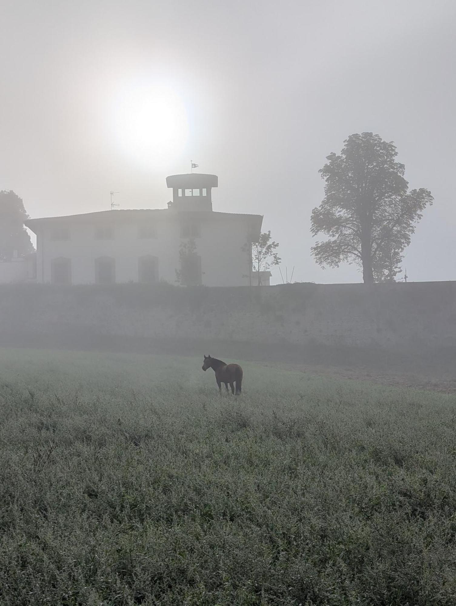 Villa Poggio Bartoli Molezzano Buitenkant foto